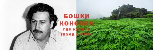 СК Верея