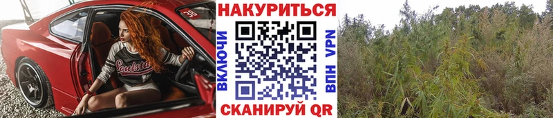 Купить  Новоуральск  Бошки Шишки конопля 
